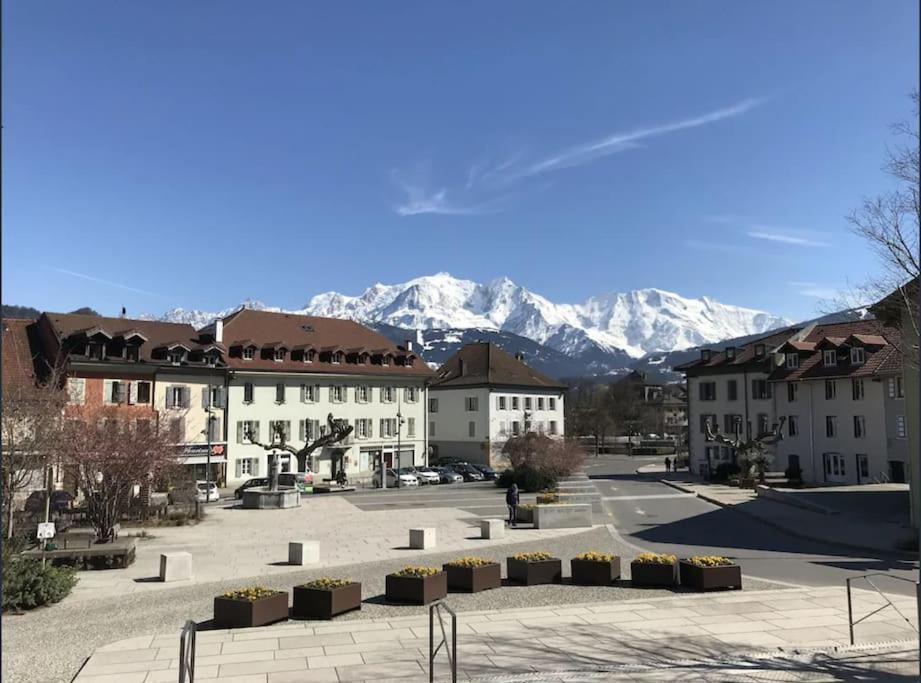 Appartement Spacieux Au Pays Du Mont-Blanc Sallanches Luaran gambar