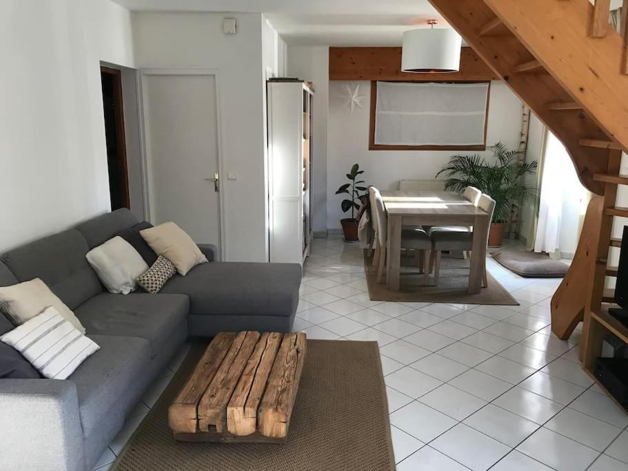 Appartement Spacieux Au Pays Du Mont-Blanc Sallanches Luaran gambar