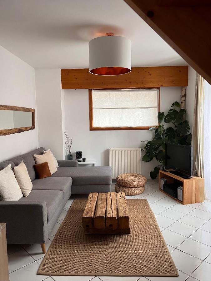 Appartement Spacieux Au Pays Du Mont-Blanc Sallanches Luaran gambar